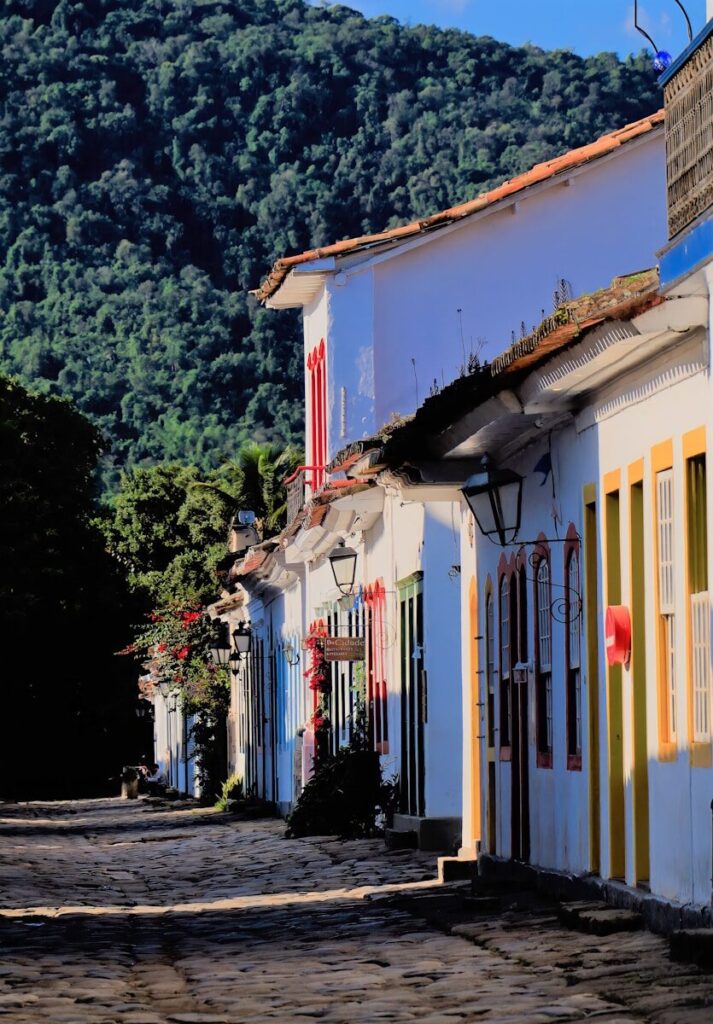 a row of buildings with colorful flags