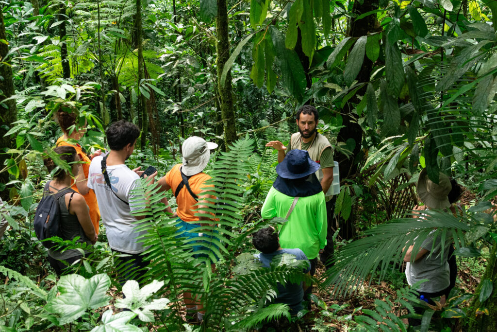 Vivência Forager no Sítio São José em Paraty