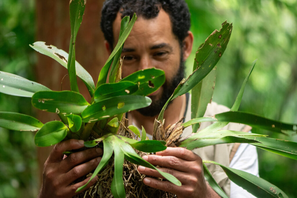 Vivência Forager no Sítio São José em Paraty