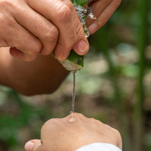 Vivência Forager no Sítio São José em Paraty