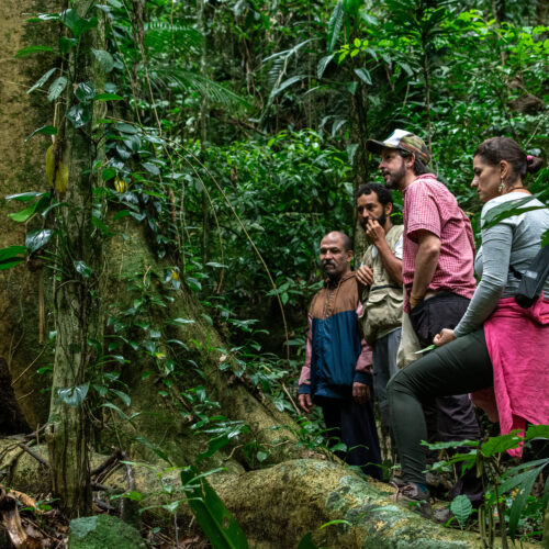 Vivência Forager no Sítio São José em Paraty