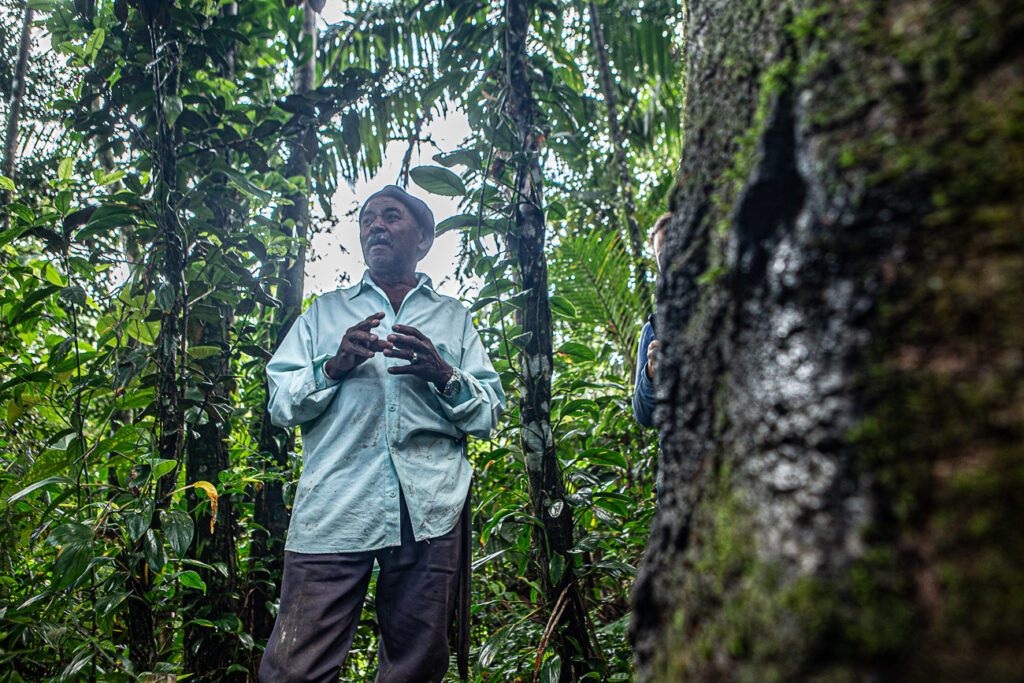 Vivência Forager no Sítio São José em Paraty