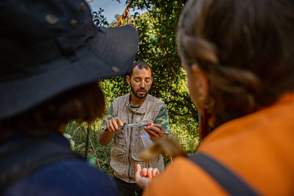 Vivência Forager: Agrofloresta, Micotrilhas e Etnobotânica