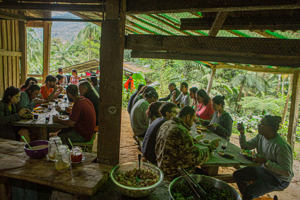 Vivência Forager no Sítio São José em Paraty