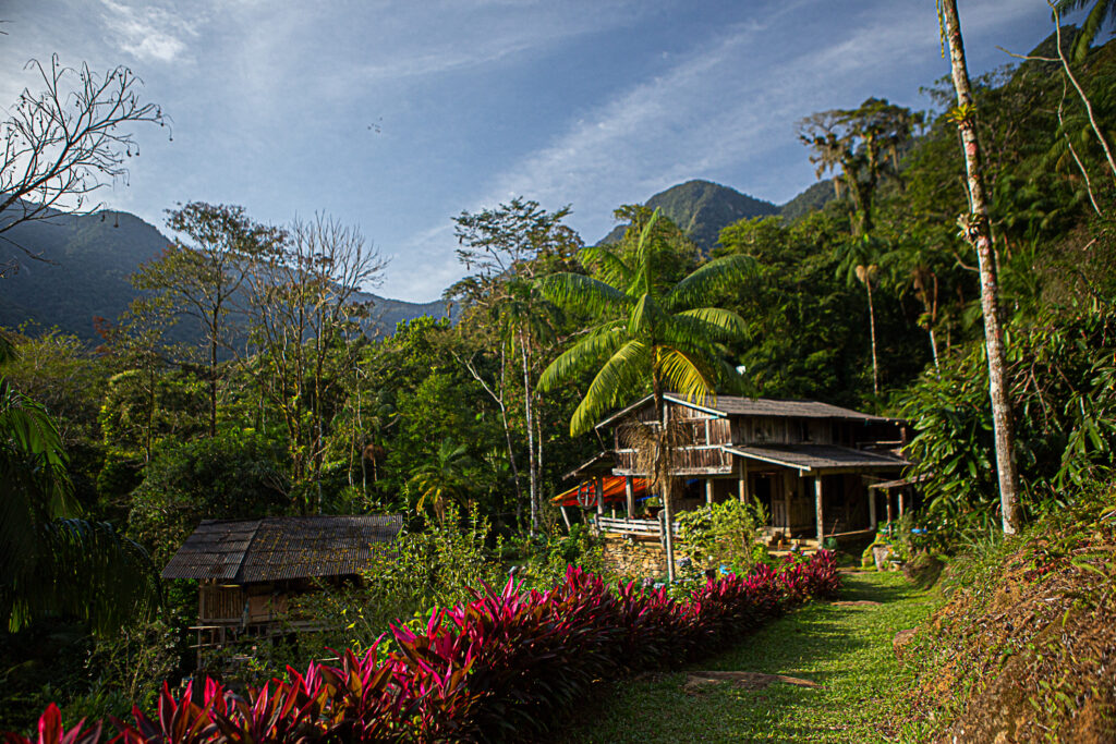Vivência Forager no Sítio São José em Paraty