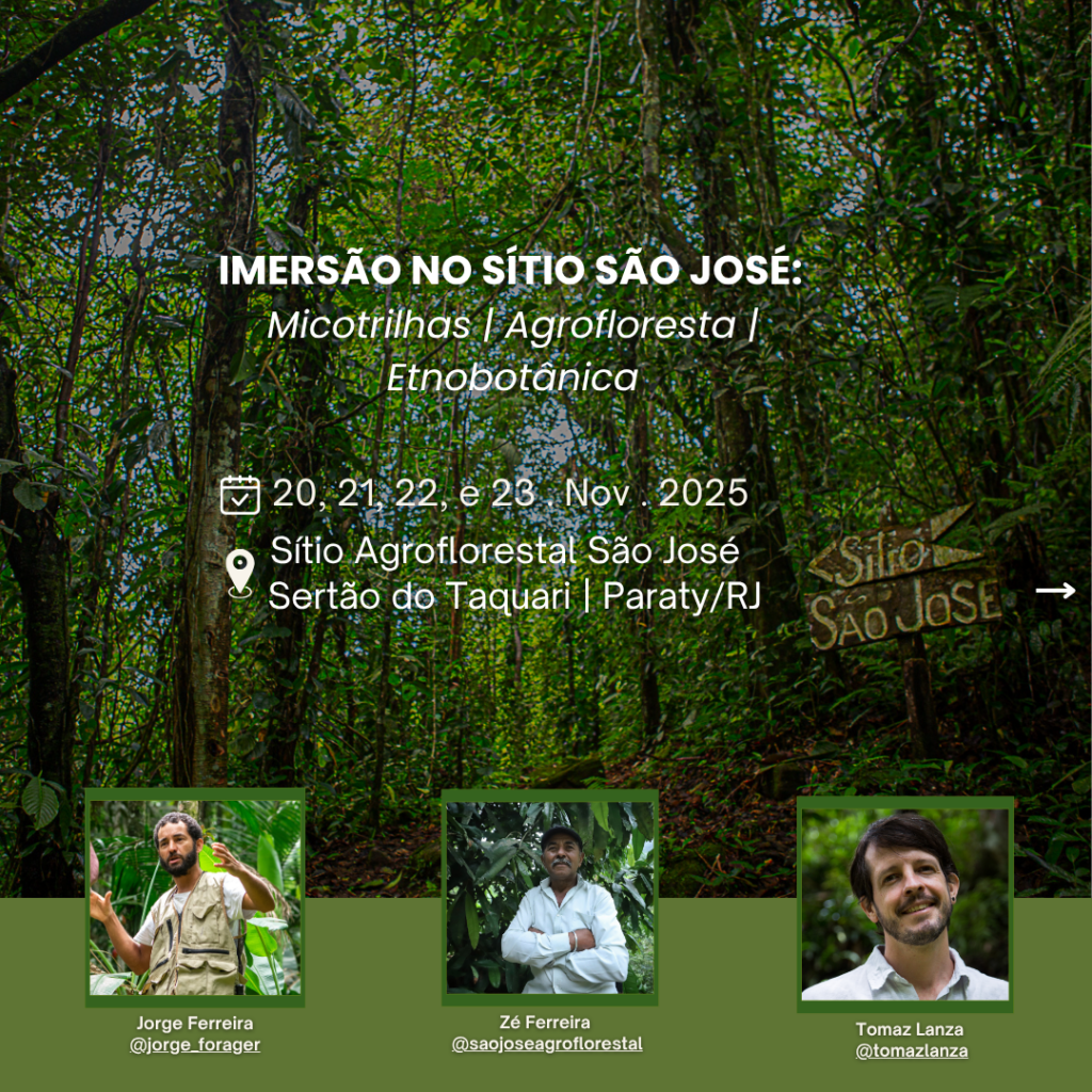 Vivência Forager no Sítio São José em Paraty